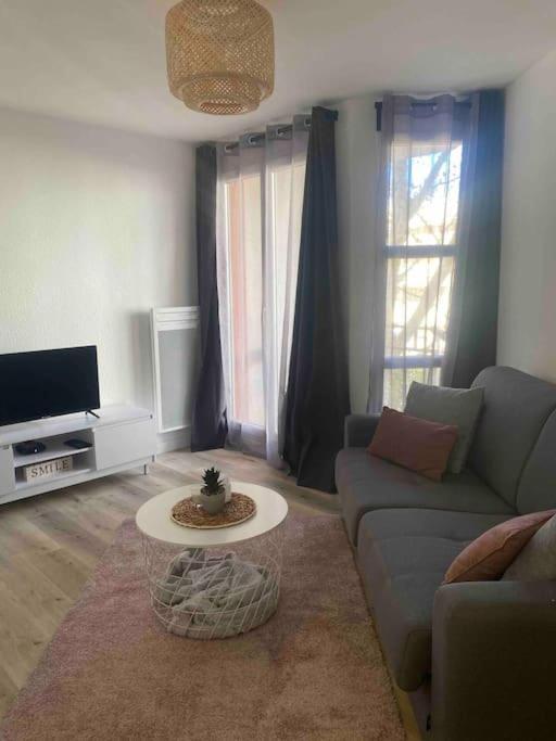 033- Le Piree, Rives Du Lez, Studio - Parking Apartamento Montpellier